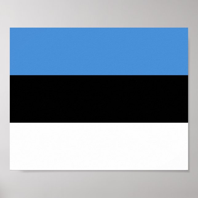 Poster Drapeau de l'Estonie (Devant)