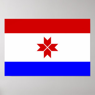 Poster Drapeau de Mordovie