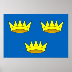 Poster Drapeau de Munster, Irlande