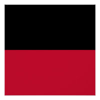 Drapeau de Nimègue