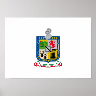 Poster Drapeau de Nuevo_Leon