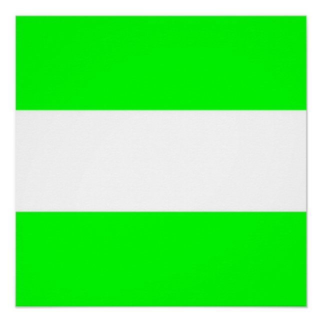 Poster Drapeau de Rotterdam (Devant)