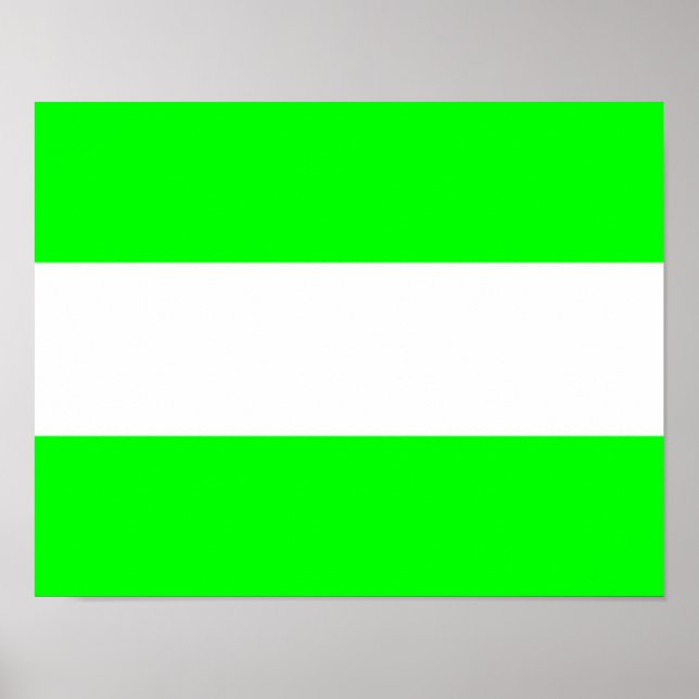 Poster Drapeau de Rotterdam (Devant)