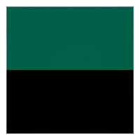 Drapeau de Texel