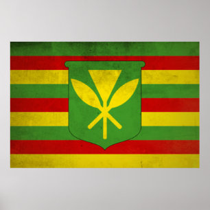 Poster Drapeau des Hawaïens autochtones