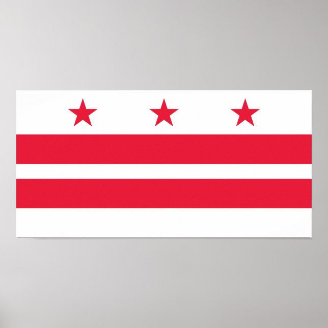 Poster Drapeau d'État de Washington DC (Devant)