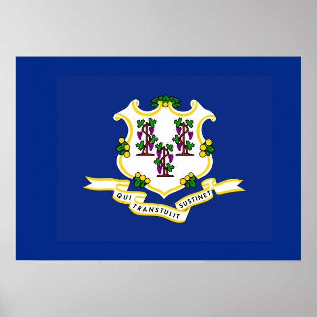 Poster Drapeau d'État du Connecticut (Devant)