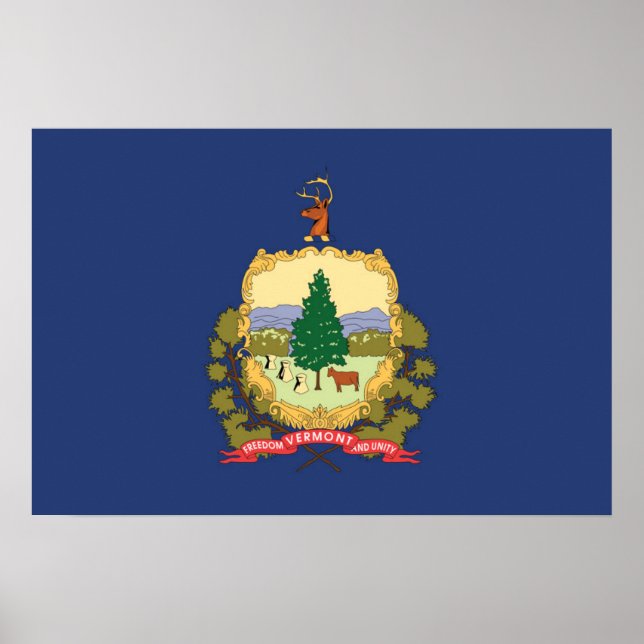 Poster Drapeau d'État du Vermont, États-Unis (Devant)