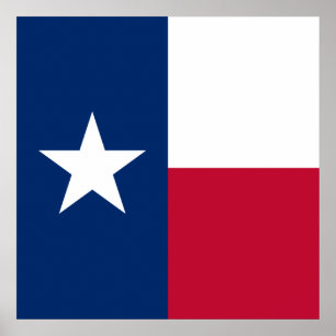 Poster Drapeau d'État texan (Texas)
