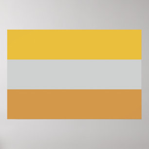 Poster Drapeau d'invalidité