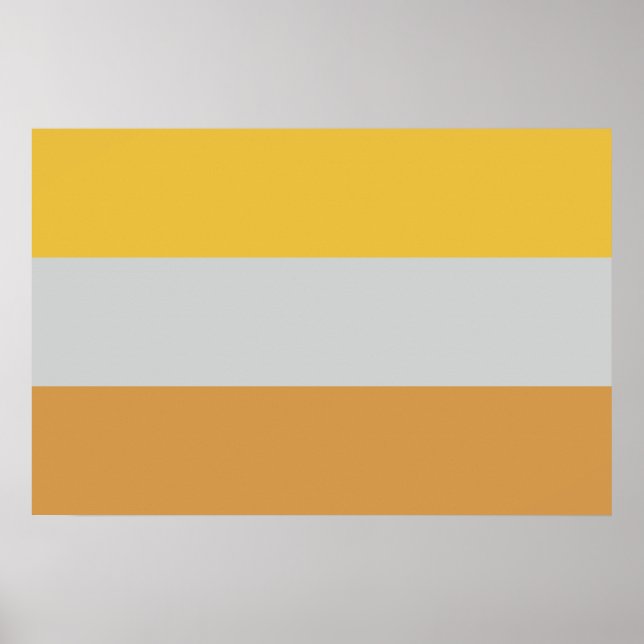 Poster Drapeau d'invalidité (Devant)