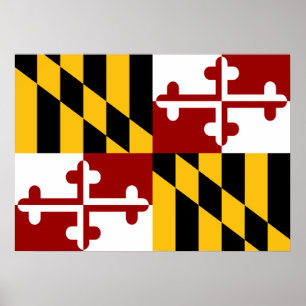 Poster Drapeau du Maryland