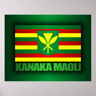 Poster Drapeau Kanaka Maoli