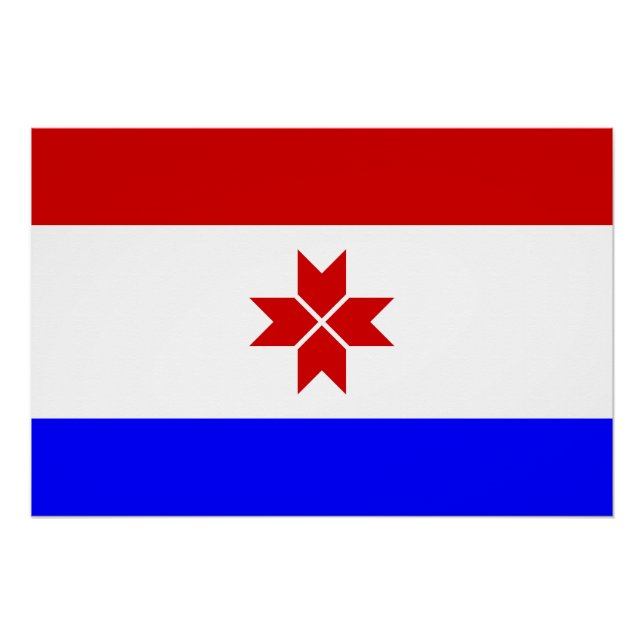 Poster Drapeau Mordovia (Devant)