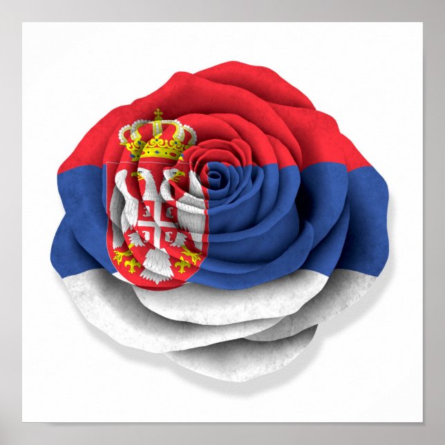 Poster Drapeau Rose serbe en blanc (Devant)