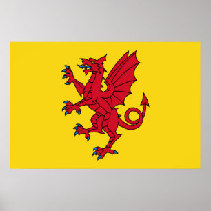 Poster Drapeau Somerset Angleterre symbole de dragon