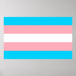 Poster Drapeau transgenre rose, bleu et blanc