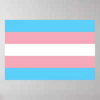 Drapeau transgenre trans pride symbole LGBT homo g