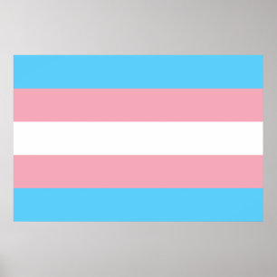 Poster Drapeau transgenre trans pride symbole LGBT homo g