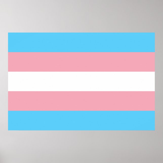 Poster Drapeau transgenre trans pride symbole LGBT homo g (Devant)