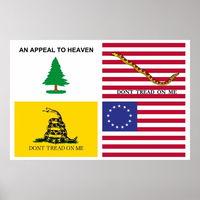 Poster Drapeaux De La Révolution Américaine (Devant)