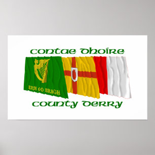 Poster Drapeaux du comté de Derry