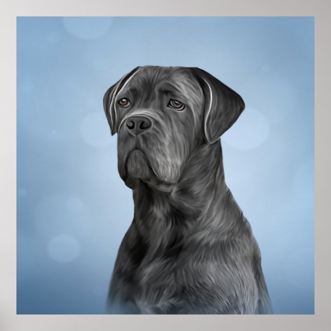 Poster Drawing dog Cane Corso (Devant)