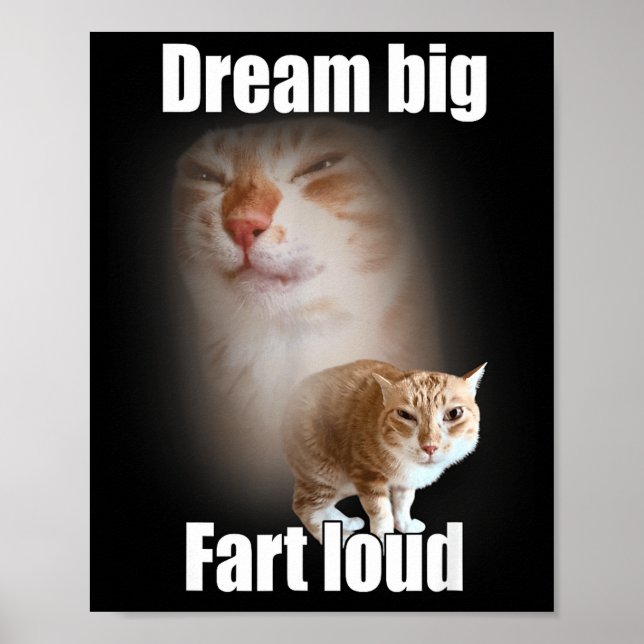 Poster Dream Big Fart Loud Cat Meme Funny Saying  (Devant)