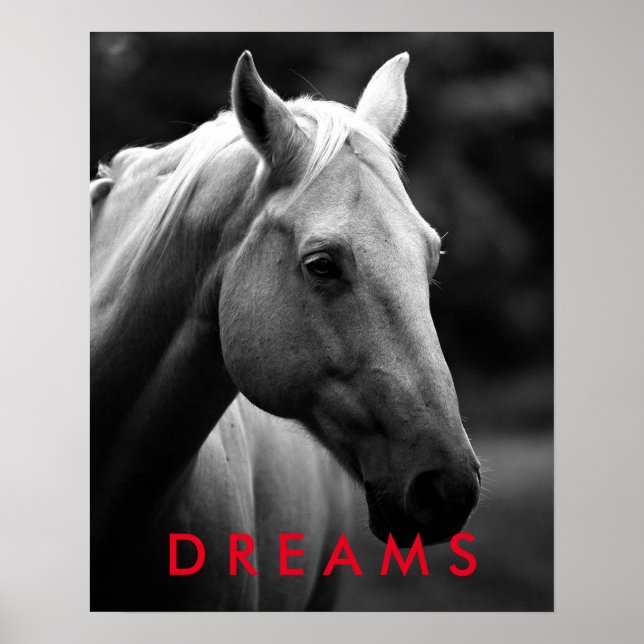 Poster Dreams Motivational Black White Closeup Horse (Devant)