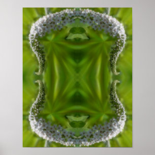 Poster Dreamy Curling Fleur sauvage blanc Abstrait