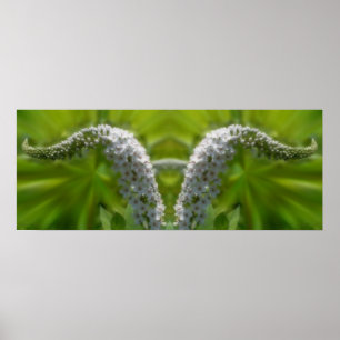 Poster Dreamy Curling Fleur sauvage blanc miroir Abstrait