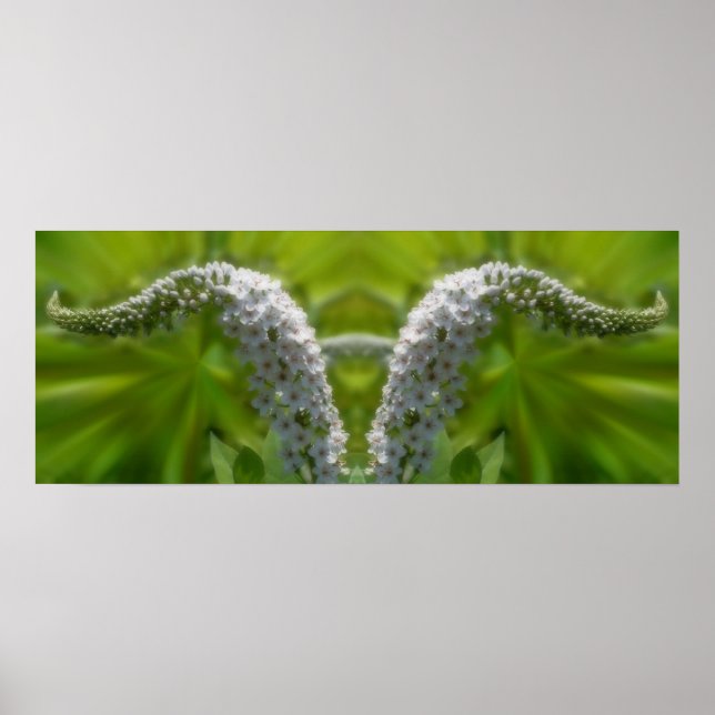 Poster Dreamy Curling Fleur sauvage blanc miroir Abstrait (Devant)