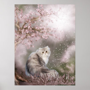 Poster Dreamy kitty cat