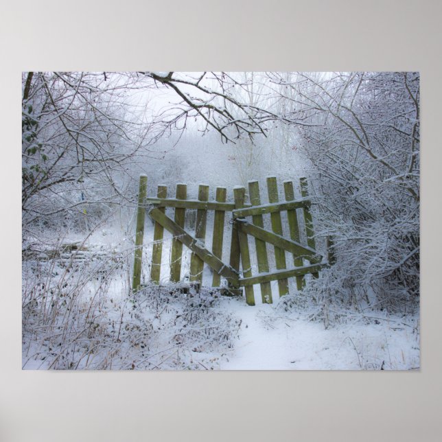 Poster Dreamy winter wonderland (Devant)