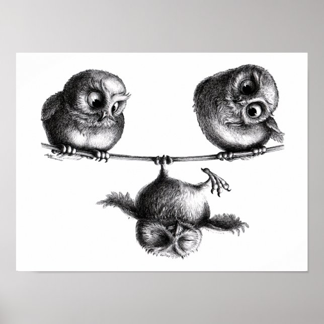 Poster Drei Eulen Freiheit und Spass (Devant)