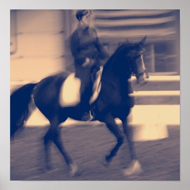 Poster Dressage (Devant)