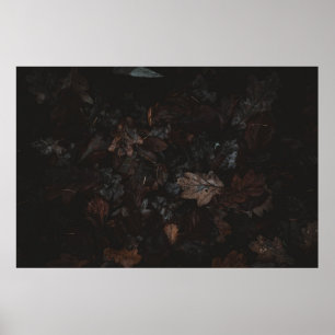 Poster Dried leaves