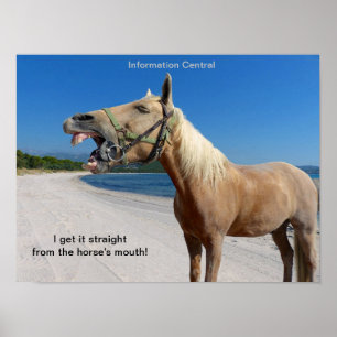 Poster Droite de la bouche du cheval 16"x12"