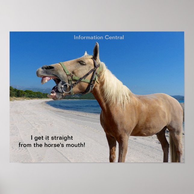 Poster Droite de la bouche du cheval 16"x12" (Devant)