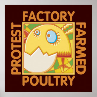 Poster Droits des animaux de ferme d'usine