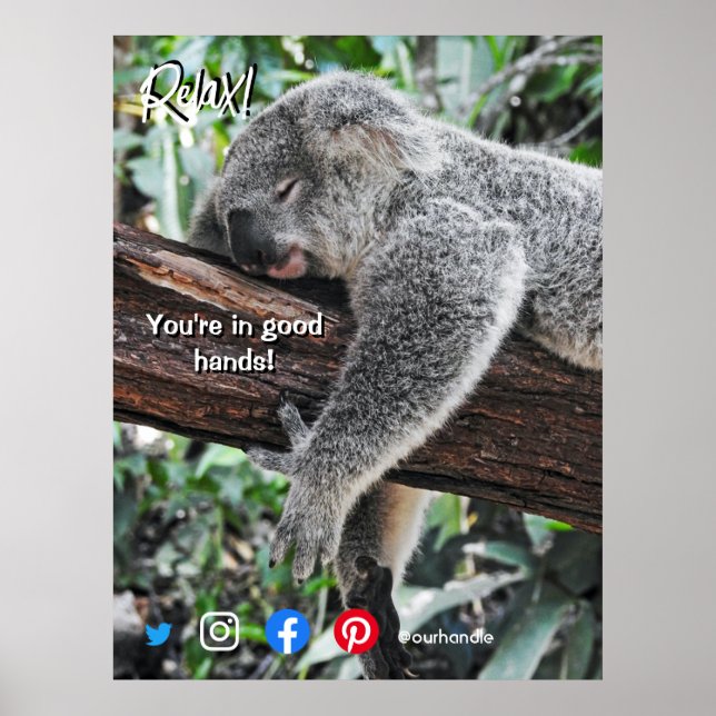 Poster drôle carte postale immobilier détendu koala (Devant)