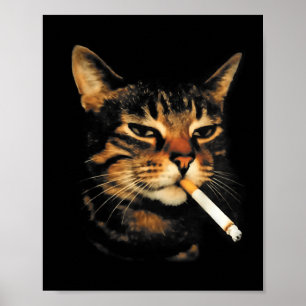Poster Drôle Chat Fumant Cigarette Chat Mignon Mème Stupi