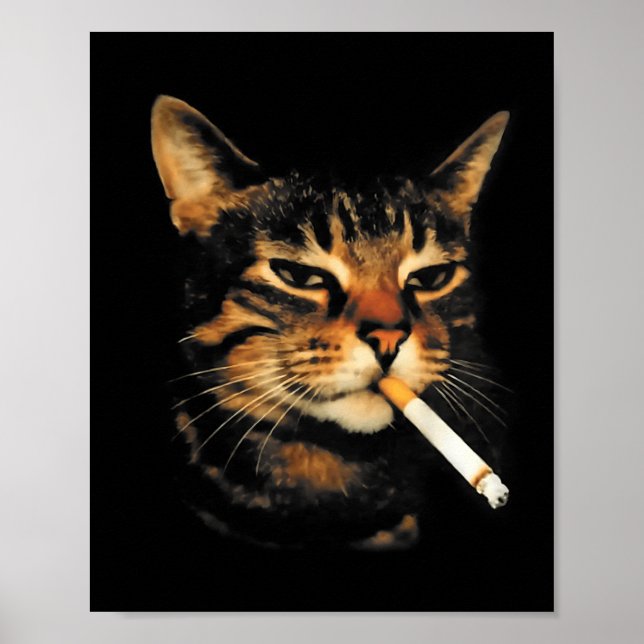 Poster Drôle Chat Fumant Cigarette Chat Mignon Mème Stupi (Devant)