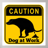 Drôle chien au travail