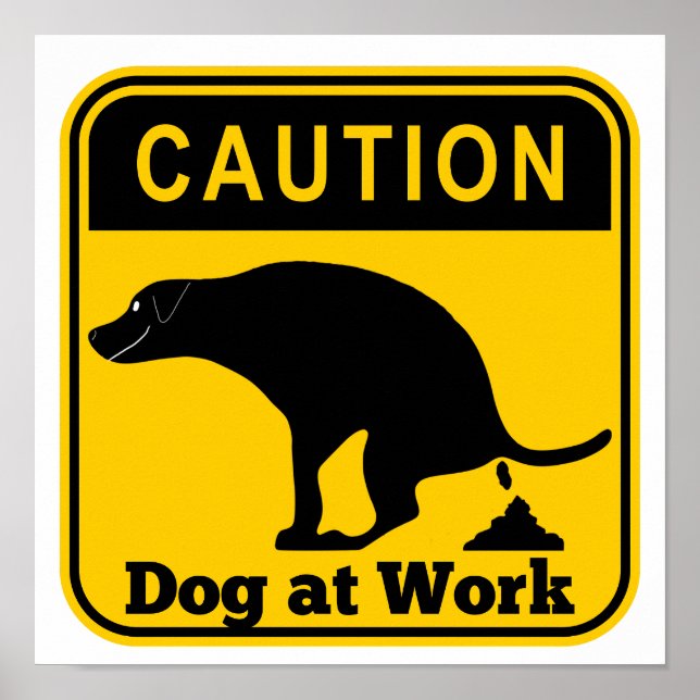 Poster Drôle chien au travail (Devant)