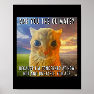 Poster Drôle Couple Valentine Orange Chat Meme Êtes-Vous 