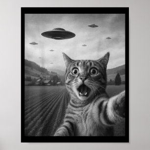 Poster Drôle de chat éd surpris selfie avec un chat alien