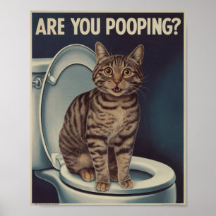 Poster drôle de chat   Es-Tu En Train De Cacher ? 