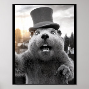 Poster Drôle de jour de la marmotte Woodchuck Drôle de Gr