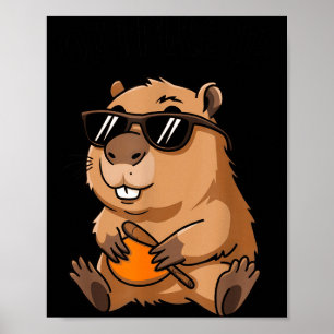 Poster Drôle de marmotte Ok je monte Sungles